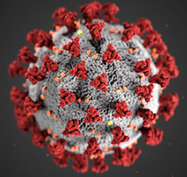 Coronavirus-Image